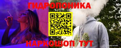 ALPHA-PVP Новозыбков