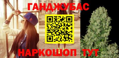 индика Новодвинск