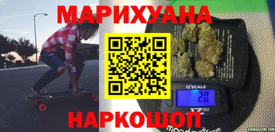 индика Новодвинск